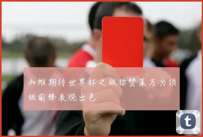 加维期待世界杯之旅称赞莱万为顶级前锋表现出色